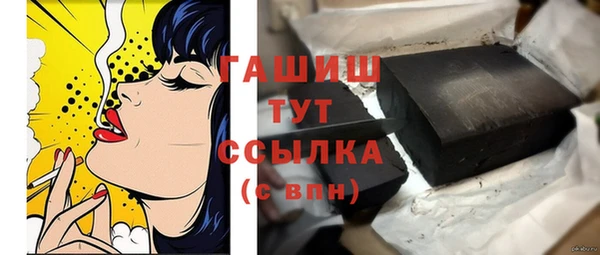 индика Киреевск