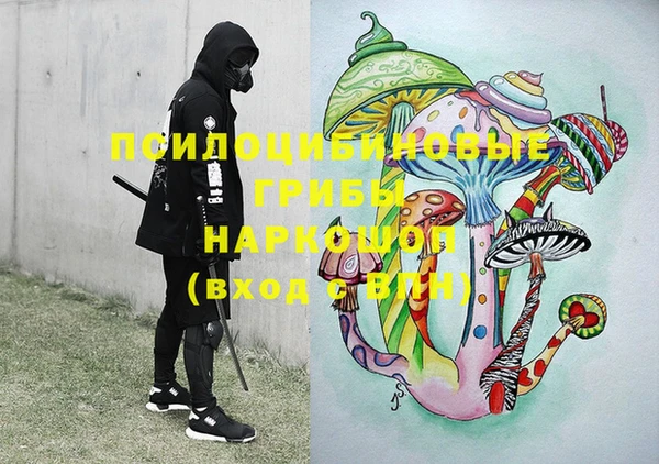 индика Киреевск