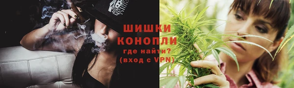 индика Киреевск