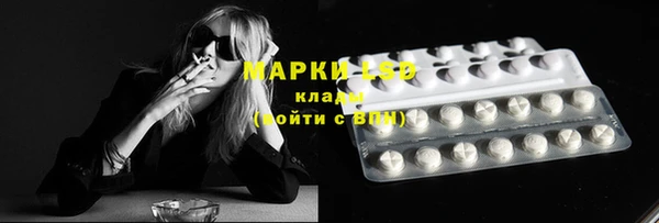 индика Киреевск