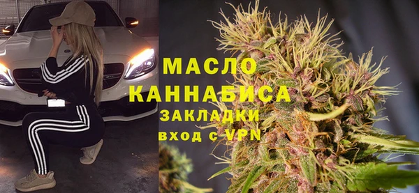 индика Киреевск