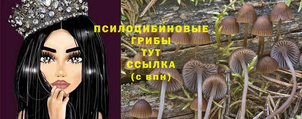 дурь Кинешма