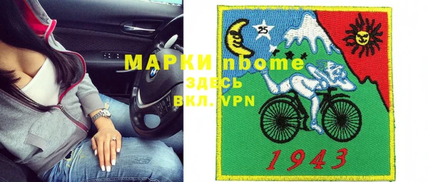 индика Киреевск
