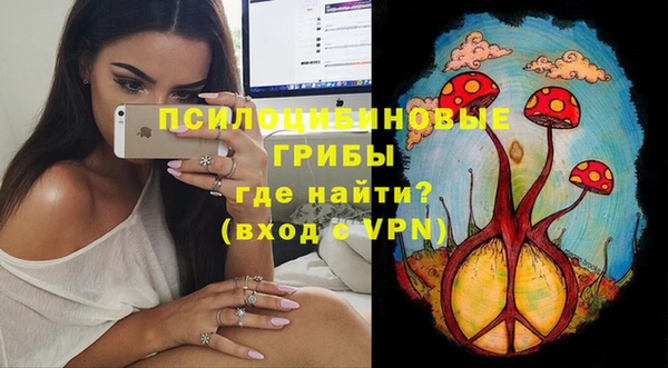 дурь Кинешма