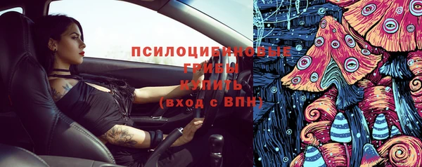 индика Киреевск