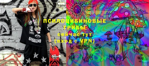 дурь Кинешма