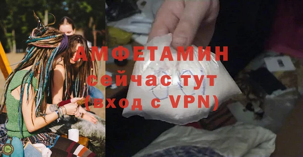 индика Киреевск