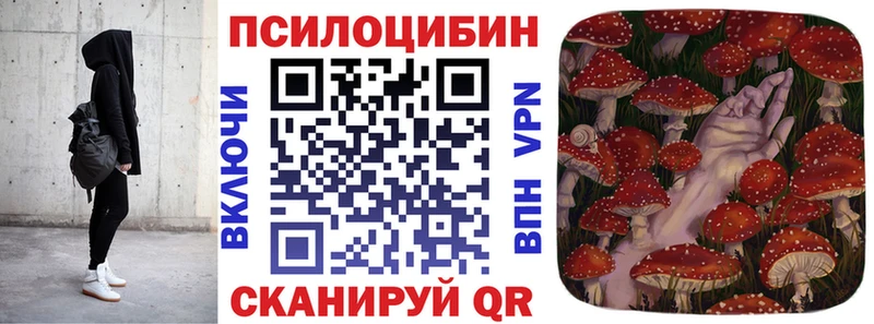 Псилоцибиновые грибы Cubensis  даркнет сайт  Прохладный 