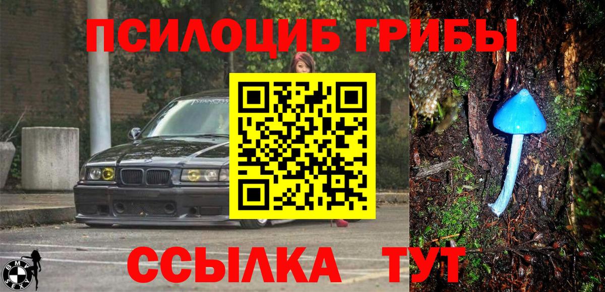 Галлюциногенные грибы мухоморы  Вход с VPN  Прохладный 