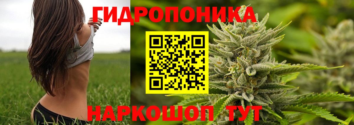 Прохладный  Бошки Шишки AK-47  Вход с VPN  МАРИХУАНА MAZAR  Каннабис Ganja  Шишки марихуана OG Kush 